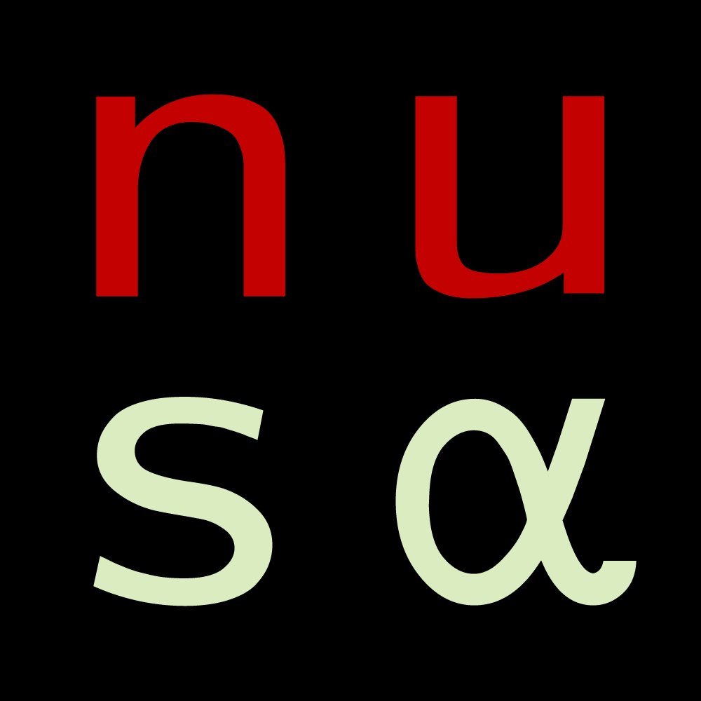 NUSA Logo